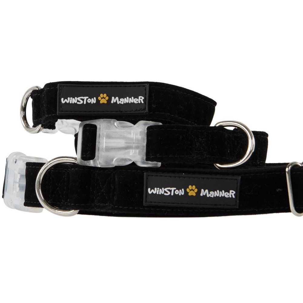 Winston Manner Designer Dog Collar in Black Knight